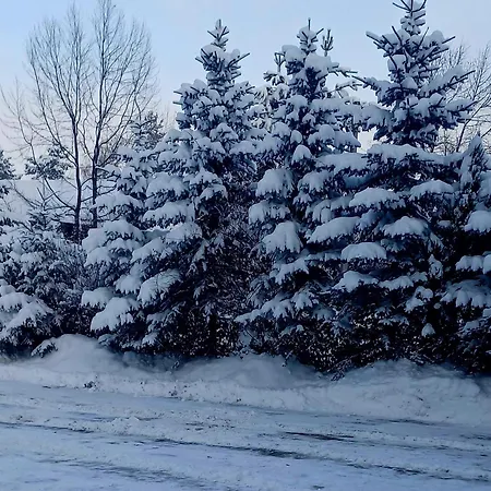 Irys Frühstückspension Bukowina Tatrzańska