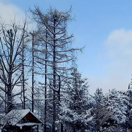 Irys 3* Bukowina Tatrzańska