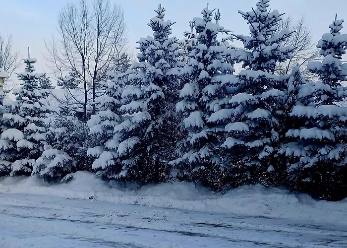 Irys Frühstückspension Bukowina Tatrzańska