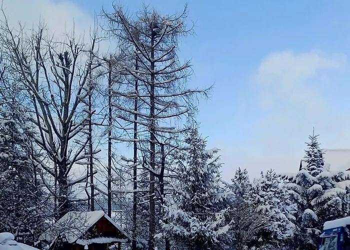 Irys 3* Bukowina Tatrzańska